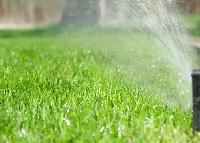 Sprinkler system watering a lush green lawn