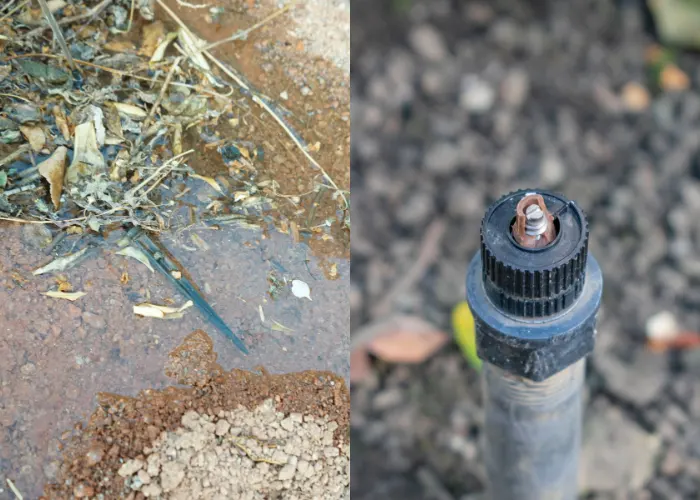 An image where the left side is a pool of water from a leaking irrigation pipe and the left side of the image is a sprinkler with a broken head