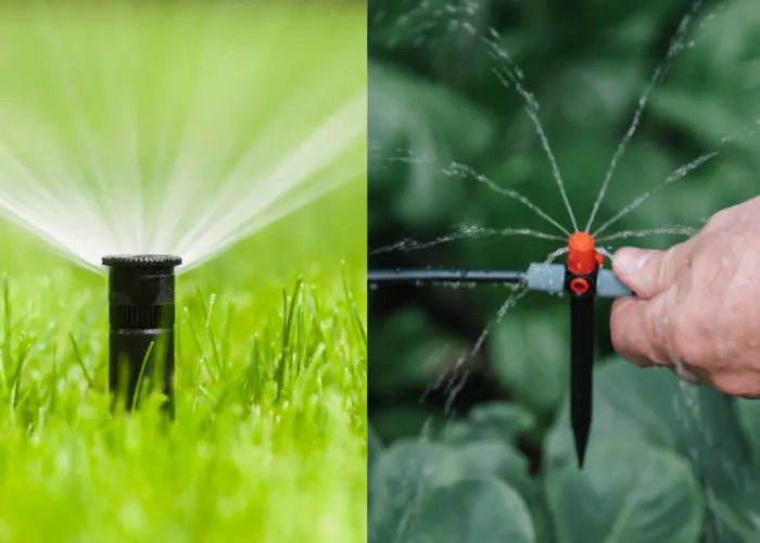 An image with a sprinkler on the left and drip irrigation on the right